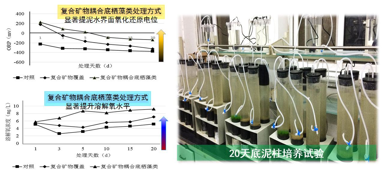 未标题-5.jpg