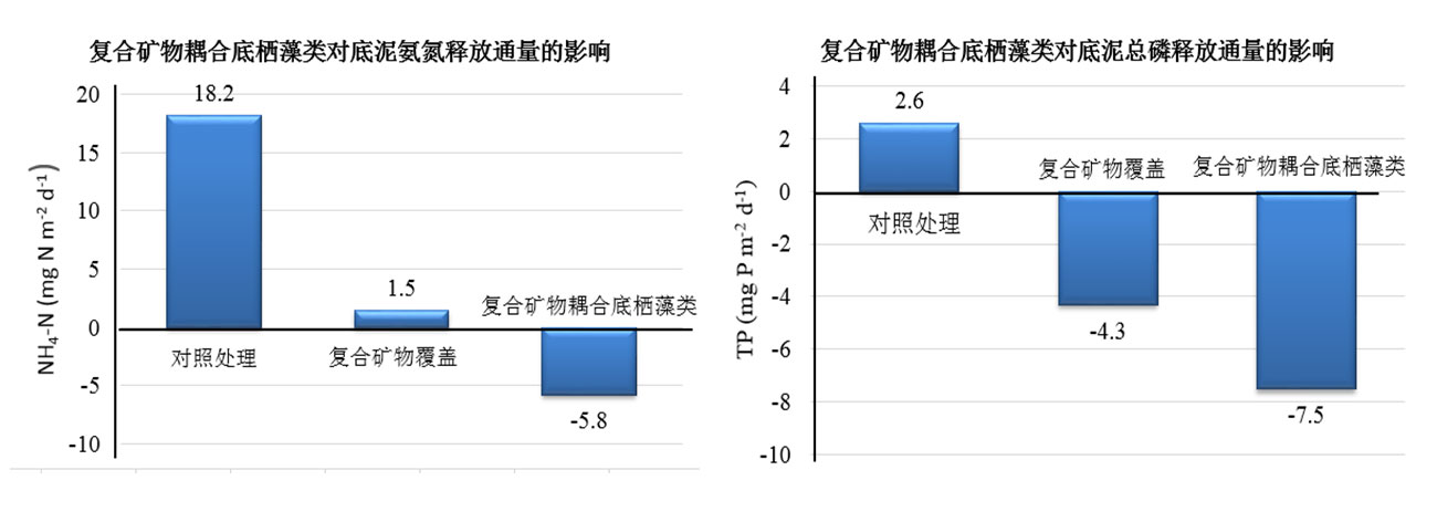 未标题-5.jpg